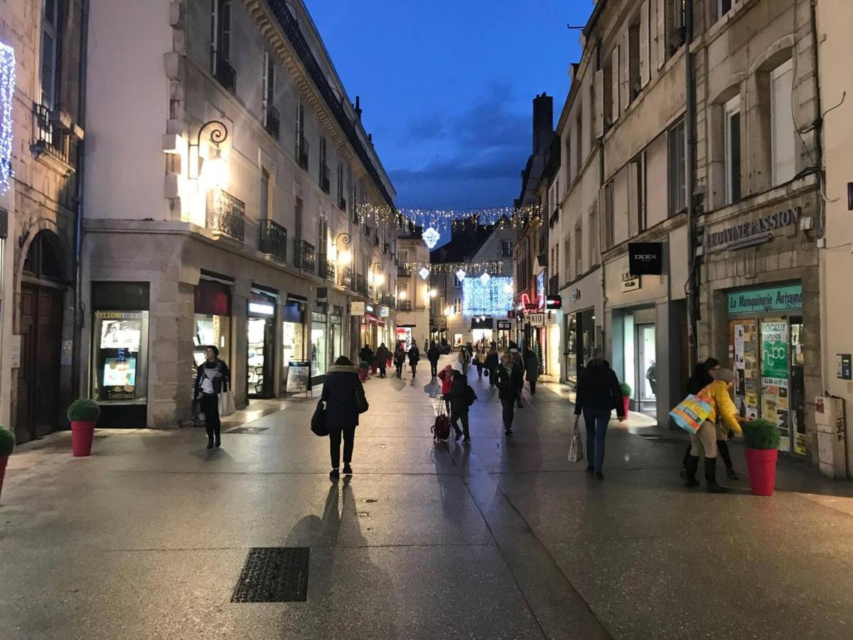 Calme En Hypercentre * Dijon